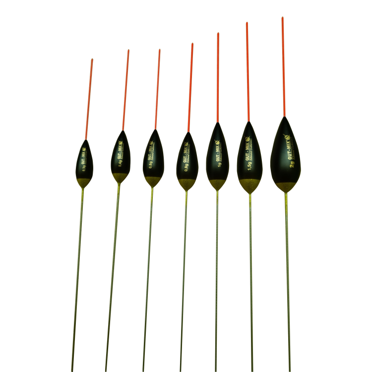 AS2 (1).png