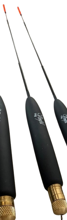 1000008279.png