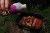 6cc8866f35279652c73ac310aff0308e.jpg