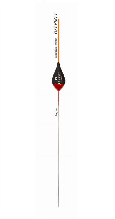 GST PRO 1.png